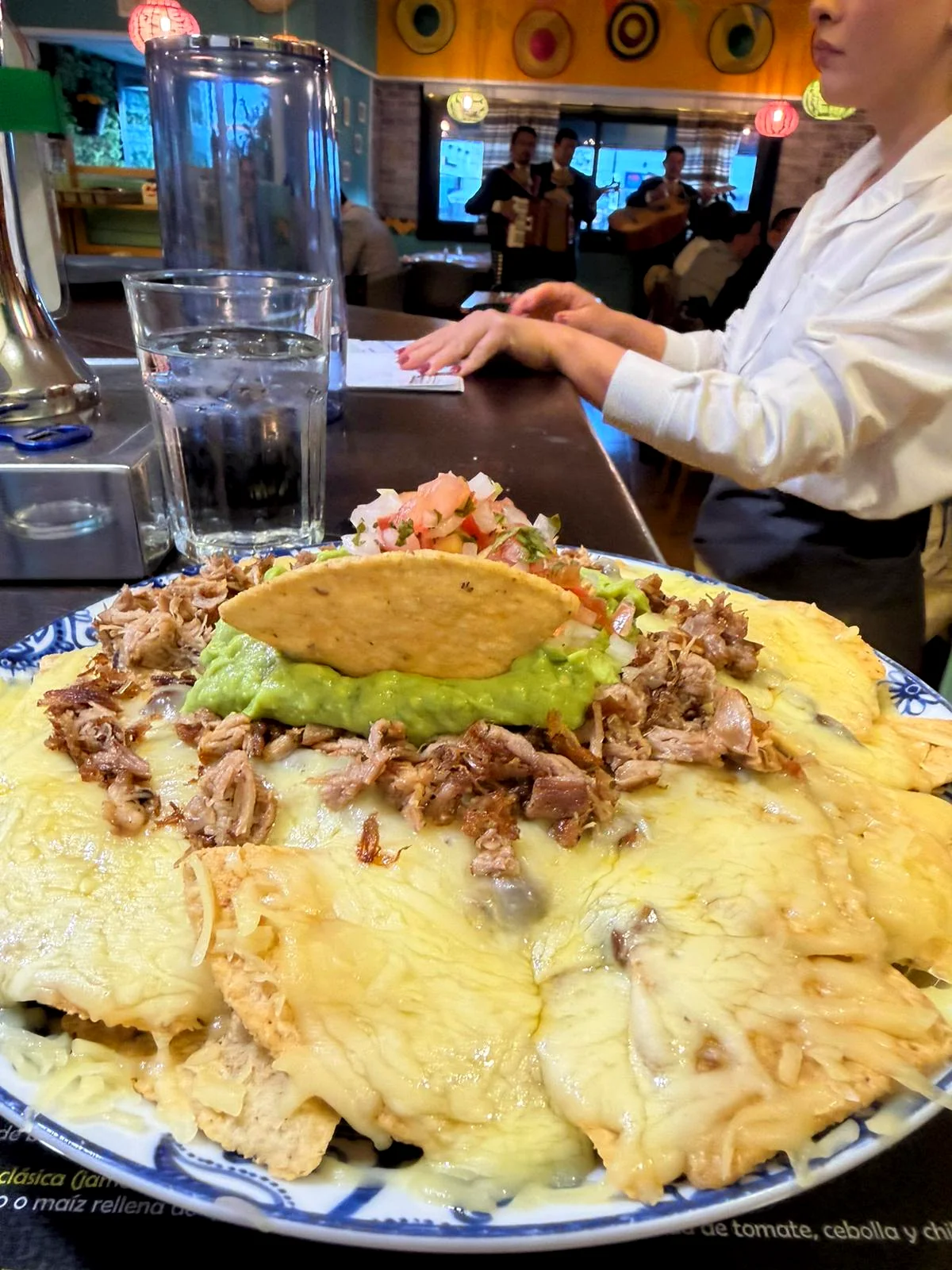 Birria de ternera — guiso tradicional mexicano